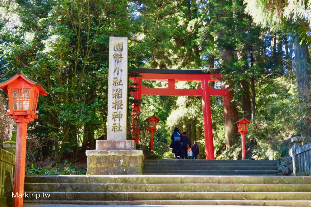 杉木環繞的箱根神社表參道石階