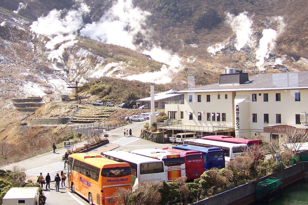 箱根空中纜車俯瞰大湧谷火山景觀